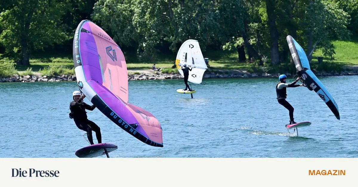 Land-der-Surfer-zukunftsreich-premium-