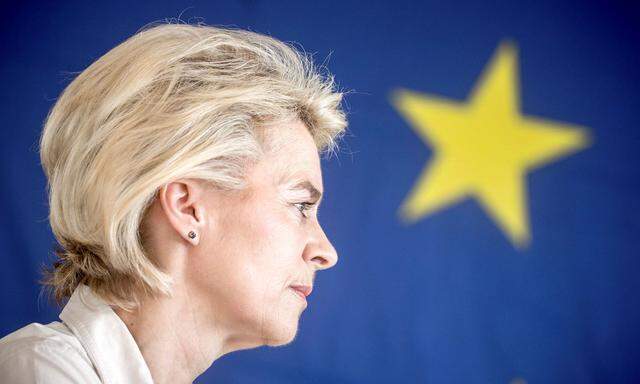 374 EU-Abgeordnete muss Ursula von der Leyen am kommenden Dienstag im Europaparlament von sich überzeugen, um Präsidentin der Europäischen Kommission zu werden. 