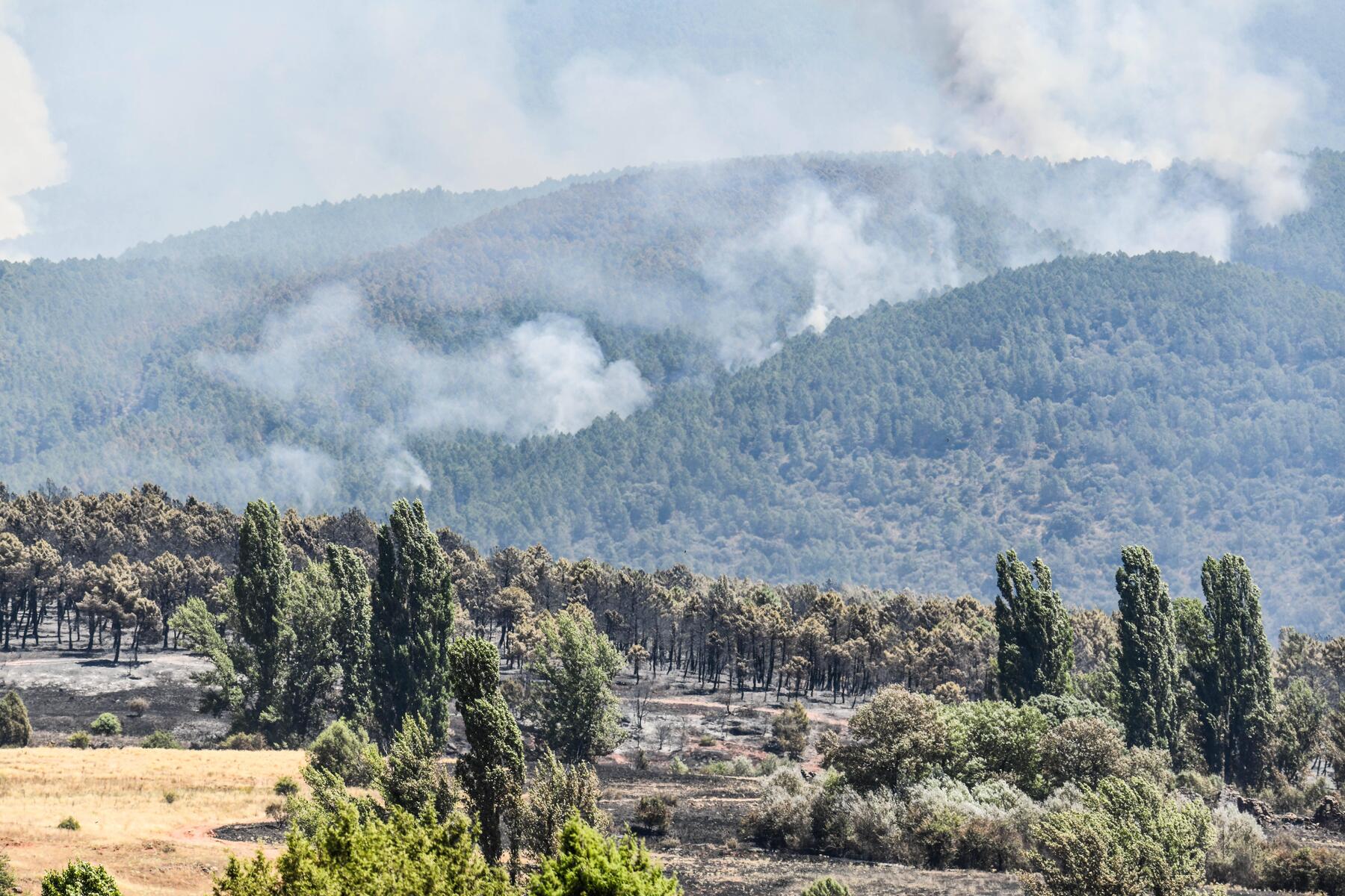 Wildfire North of Madrid Forces Evacuations as Blazes Rage Across Europe