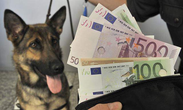 Bargeld-Spuerhund