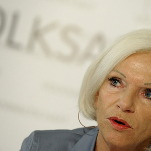 VOLKSANWALTSCHAFT: BRINEK