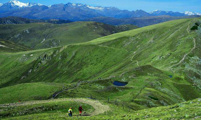 Nockalm Steier Alpenkette.