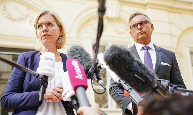 Klimaschutzministerin Leonore Gewessler (Grüne) überweist den Bonus, das Geld kommt von Finanzminister Brunner (ÖVP)