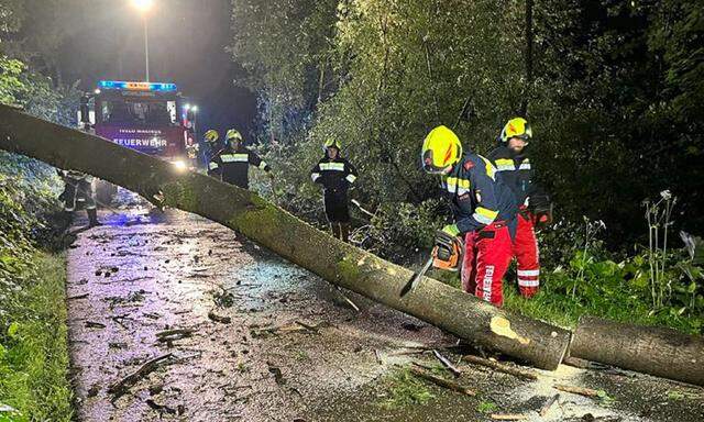 Die Feuerwehren im steirischen Murtal mussten in der Nacht auf Sonntag über 50 Mal zu Unwettereinsätzen ausrücken. 