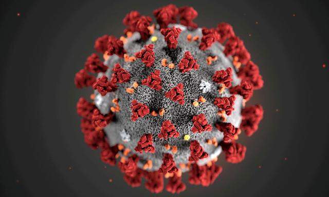 Eine Illustration des Coronavirus der US-Behörde CDC.