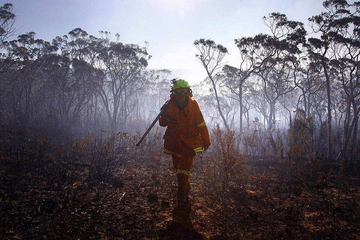 Bei den schweren Buschbränden waren vergangene Woche 1500 Feuerwehrmänner im Einsatz - nun sich es "nur" noch 800. Im Südosten kämpften sie verzweifelt gegen mehr als 70 Buschbrände, um deren Vorrücken auf die Millionen-Metropole Sydney zu verhindern.