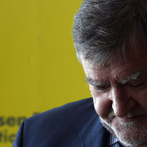 ERKLAERUNG VON RBI-CHEF STEPIC