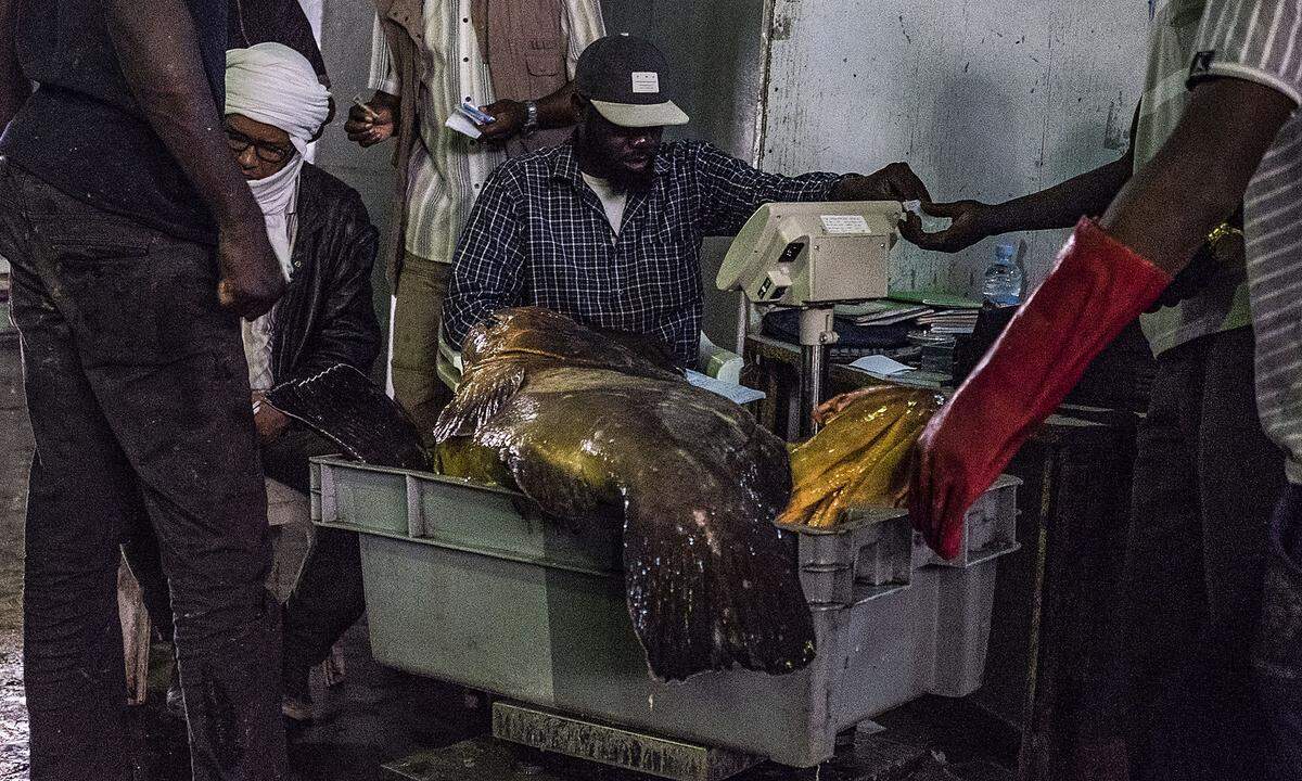 Der Fang landet dann auf dem Fischmarkt von Nouakchott, der staubigen Hauptstadt Mauretaniens.