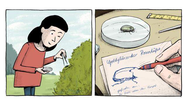 Im Comic „Die Superkäfer“ kämpft Sarah gegen den Einsatz von Pestiziden.