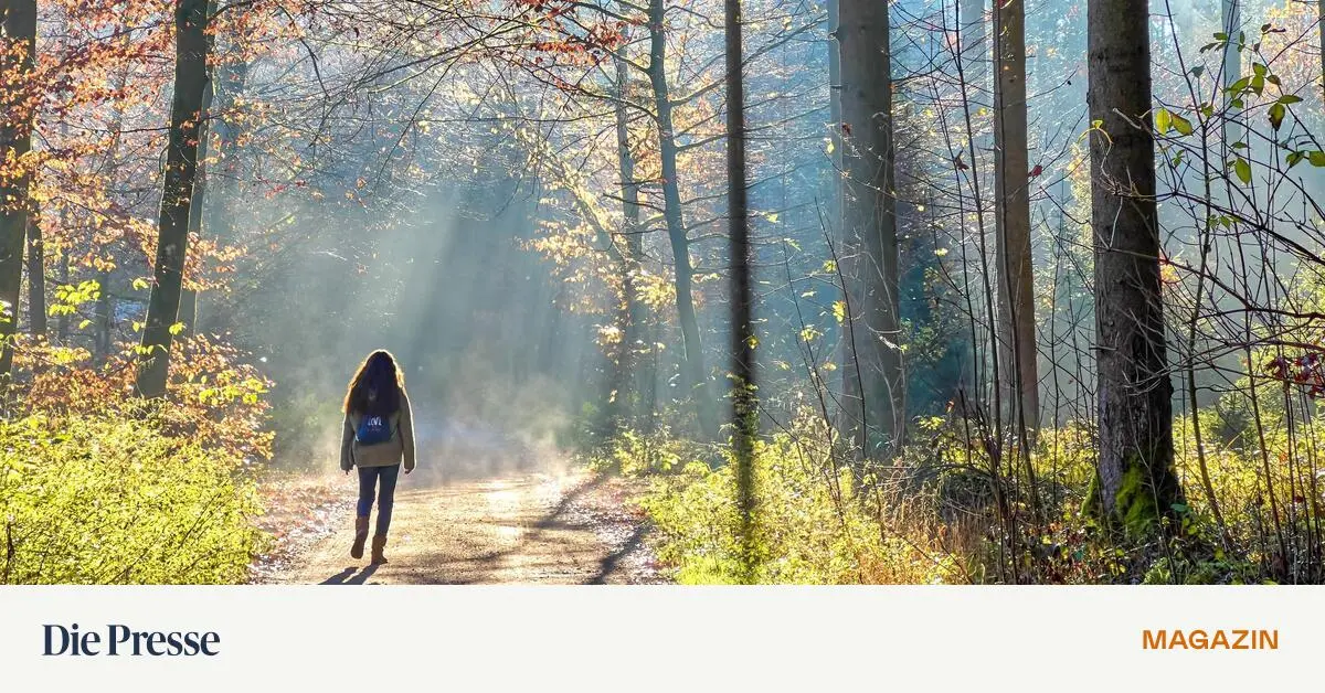 ME-CFS-Spezialist-Stingl-Die-Horrorgeschichten-kommen-nicht-von-irgendwoher-premium-