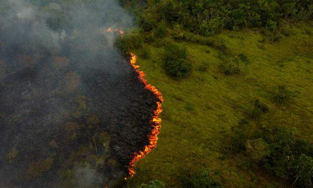 Archivbild: Rauch von illegalen Feuern, die von Bauern angezündet wurden, steigt in Manaquiri, im brasilianischen Bundesstaat Amazonas, am 6. September 2023 auf.