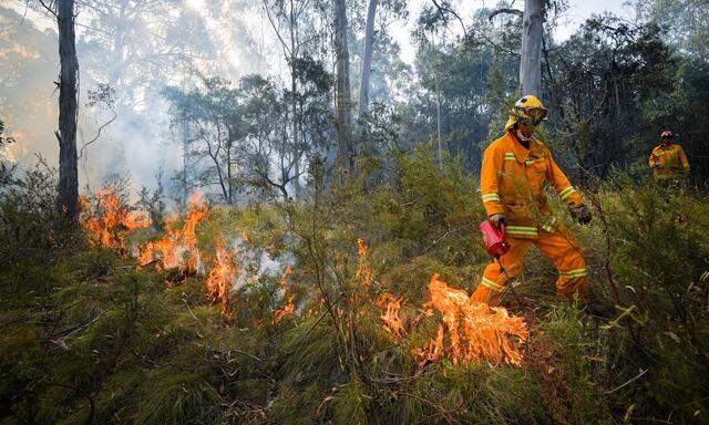 Am Freitag wird in Australien extreme Hitze erwartet. Ein Ende der Brände ist nicht in Sicht.