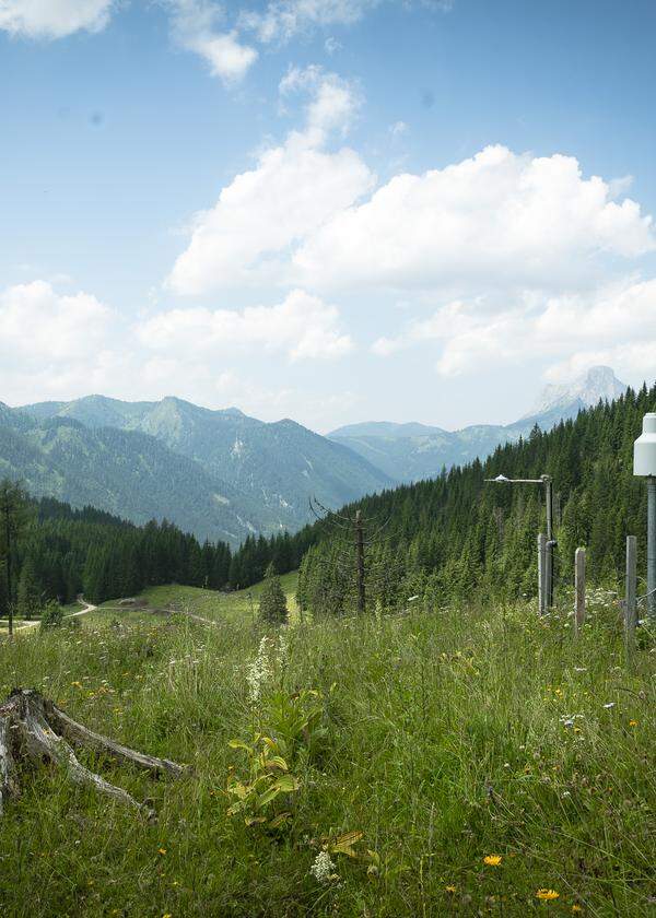 Die Klimastation des Wegener Centers der Universität Graz auf der Pfarralm.