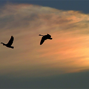 Die ersten Anzeichen der Erholung