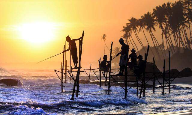 Die Bade- und Fischerorte an der Ostküste Sri Lankas bieten tropische Strände mit feinem Sand und grazilen Kokospalmen.