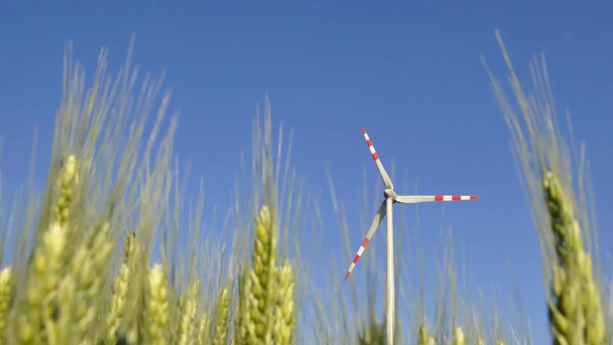 -Die-Vase-ist-zerbrochen-IEA-Chef-Fatih-Birol-fordert-von-sterreich-mehr-Tempo-bei-der-Energiewende-premium-