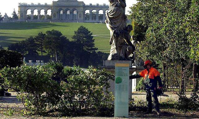 Schlosspark Schönbrunn