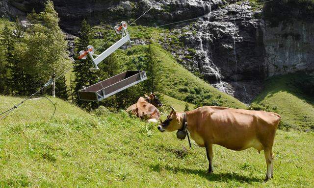 01 08 2017 Engstlenalp Berneroberland Schweiz Bild zeigt Landwirtschaftliche Transportseilbahn fuer