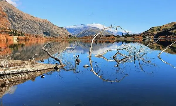 Der Lake Hayes auf der Südinsel Neuseelands: Die Methoden zur Bestimmung der Klimasituation soll auch an Sedimenten in Österreichs Seen Anwendung finden.