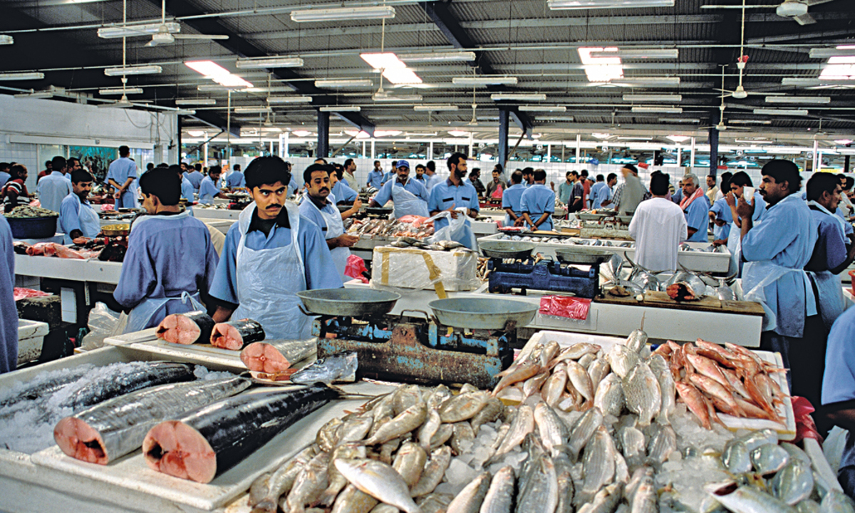 Unwirklicher Überblick. Der Standort Dubais ist nicht der logischste für eine Stadt. 