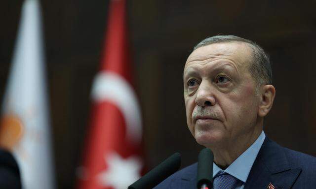Der türkische Präsident forderte die Weltmächte auf, Druck auf Israel auszuüben, damit es seine Angriffe auf den Gazastreifen beende.