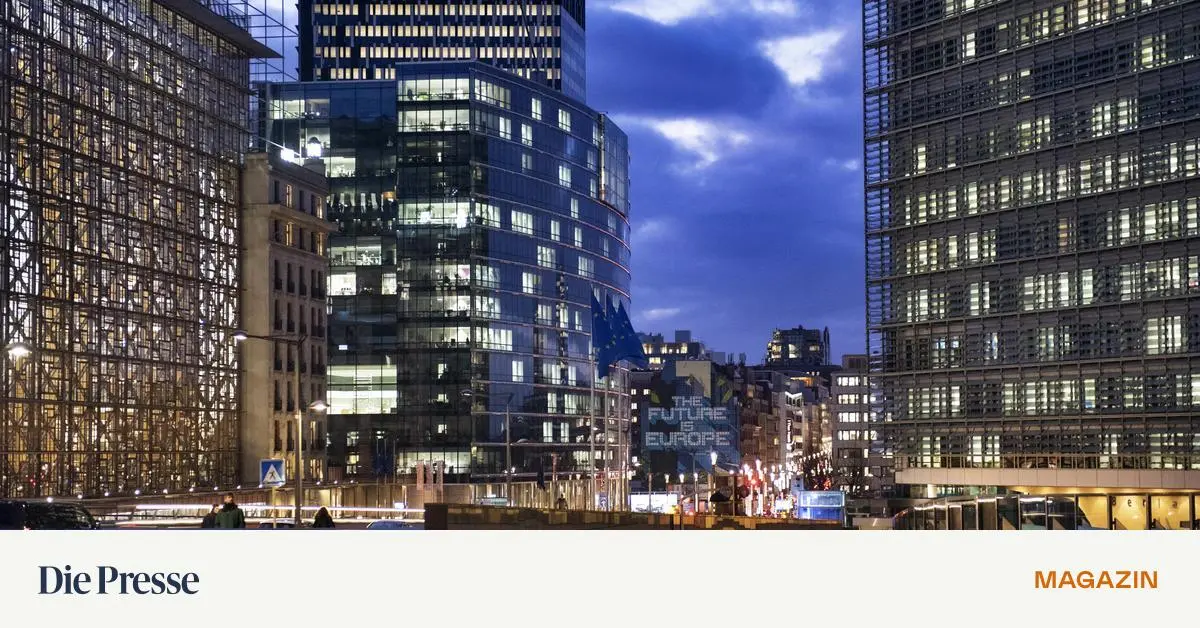 -sterreicher-in-Br-ssel-Bei-mir-brennt-das-Feuer-wirklich-f-r-Europa-premium-