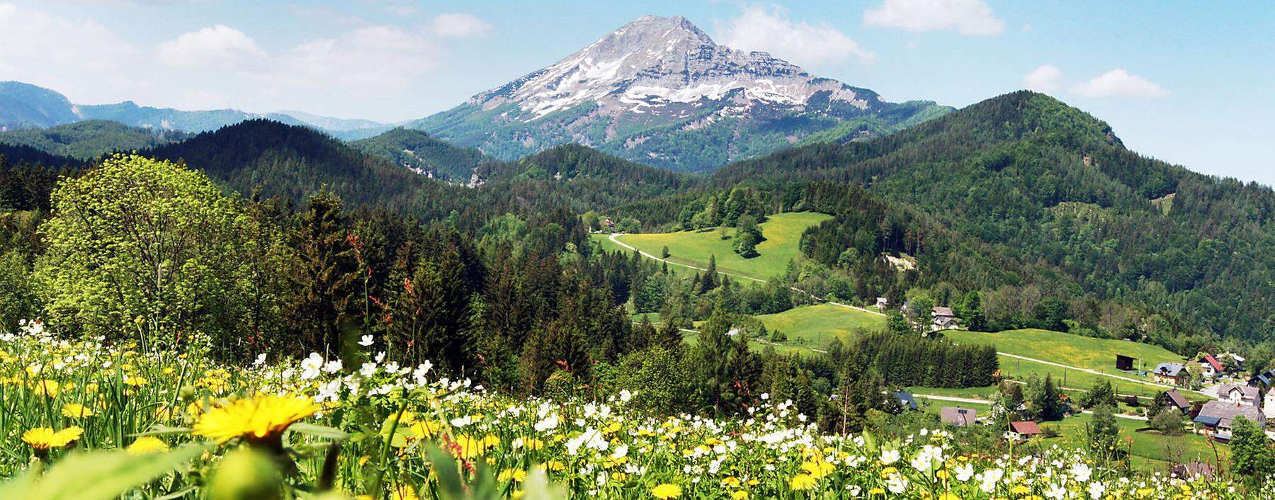 Der formschöne Ötscher ist zwar nicht Niederösterreichs höchster Berg, doch er schlägt alle mit seiner starke Präsenz. 