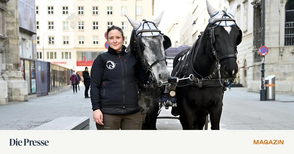 Wie-geht-s-Fiakerpferd-Hektor-Eine-Studie-will-es-herausfinden-premium-