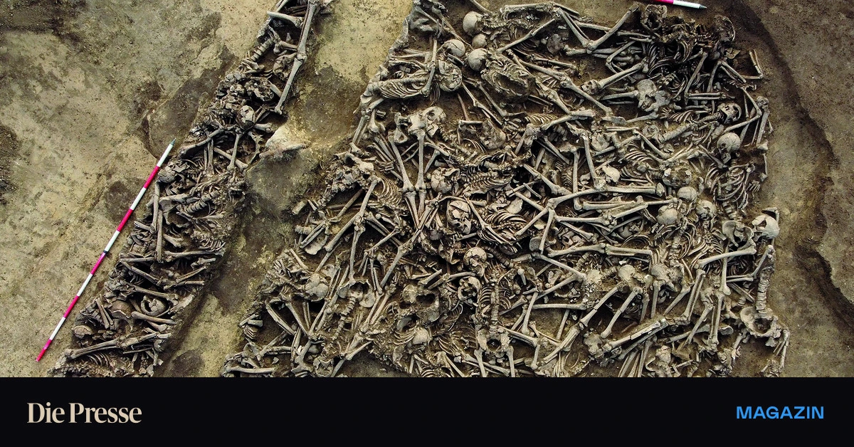 CSI-Vindobona-Die-Puzzlesteine-im-Boden-Wiens-premium-