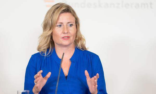 Die Universität Innsbruck hat das Plagiatsverfahren zur Diplomarbeit von Frauenministerin Susanne Raab (ÖVP) eingestellt. 