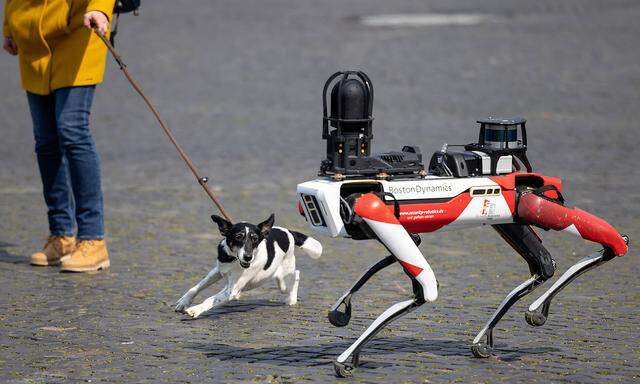 Vorstellung eines Roboter des Sicherheitsdienstleisters Ciborius: mit hundeartigen Bewegungen und reichhaltiger technischer Ausstattung