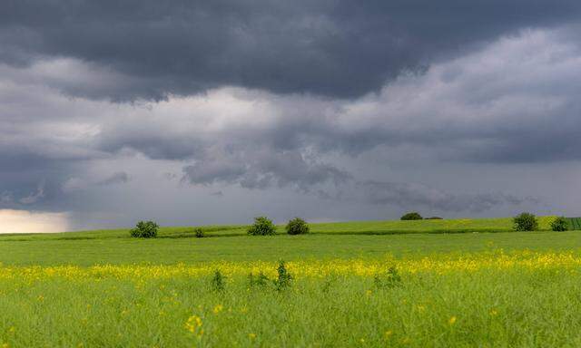  Gewitter gelten als spontanes meteorologisches Ereignis, die Prognose ist oft sehr schwierig.