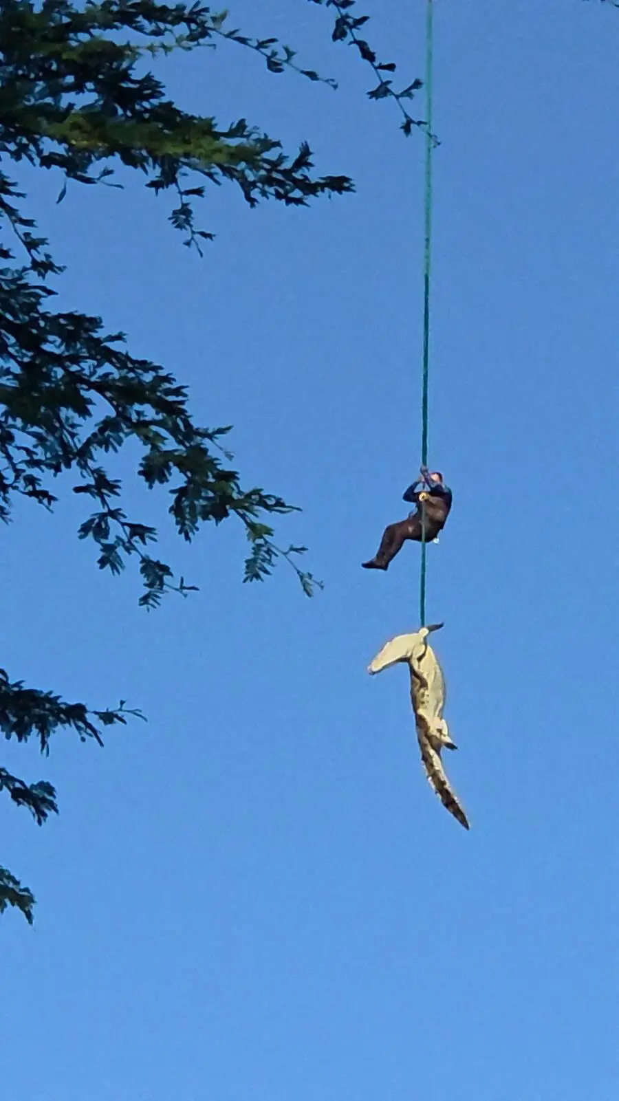 <strong>4. Mai.</strong> Ein südafrikanischer Polizist eskortiert ein eingeschläfertes Krokodil, das vermutlich die Überreste einer vermissten Person gefressen hat, vom Flussufer in Komatipoort, in der Provinz Mpumalanga. (Das Bild ist am 2. Mai aufgenommen worden.)