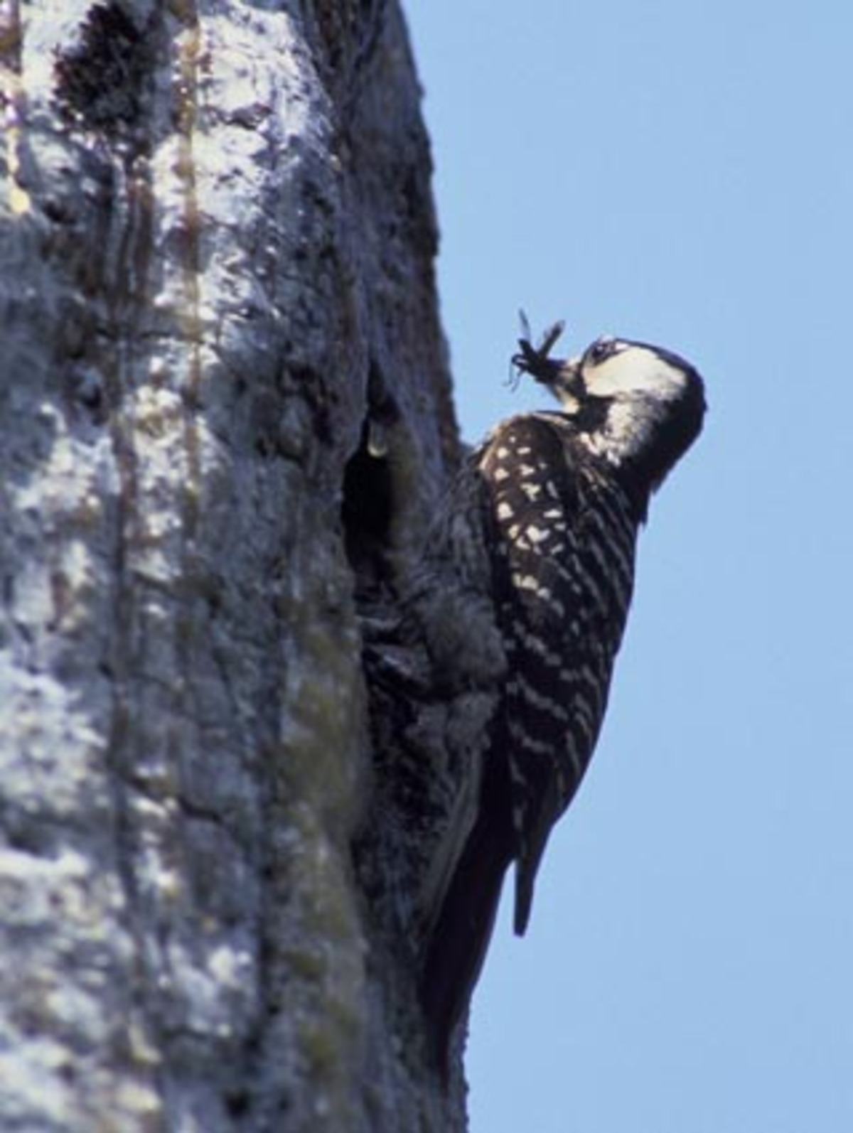 Bei gesellschaftlichen Veranstaltungen taucht der bescheiden wirkende Lewis selten auf. "Er meidet die "Power-Szene" und verbringt seine Freizeit meist in seinem Ferienhaus in den Blue Ridge Mountains", heißt es in dem Forbes-Porträt.  Wenn Lewis nicht gerade Ferien macht, geht er offenbar gerne einkaufen: Merrill Lynch ist nicht die erste Übernahme. Zuvor hat sich Lewis bereits den angeschlagenen Hypothekenfinanzierer Countywide einverleibt.