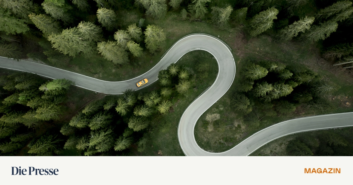 5-Schritte-Worauf-man-beim-Verhandeln-denken-sollte-premium-