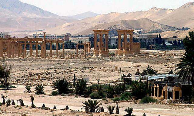 Blick über Teile von Palmyra 