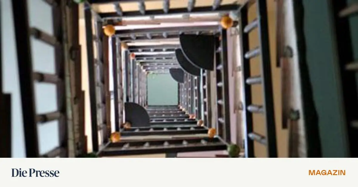 -ber-Stufen-gehen-wie-ber-Wurzeln-im-Wald-premium-