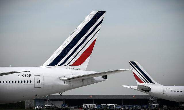 Hat Air France mit einem Vogelspinnen-Fund geflunkert?