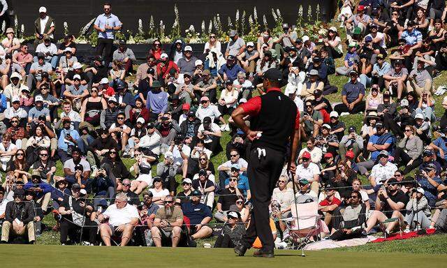 Nach wie vor ein Fan-Magnet: Wo Tiger Woods auftaucht, steht er im Blickpunkt der Massen.