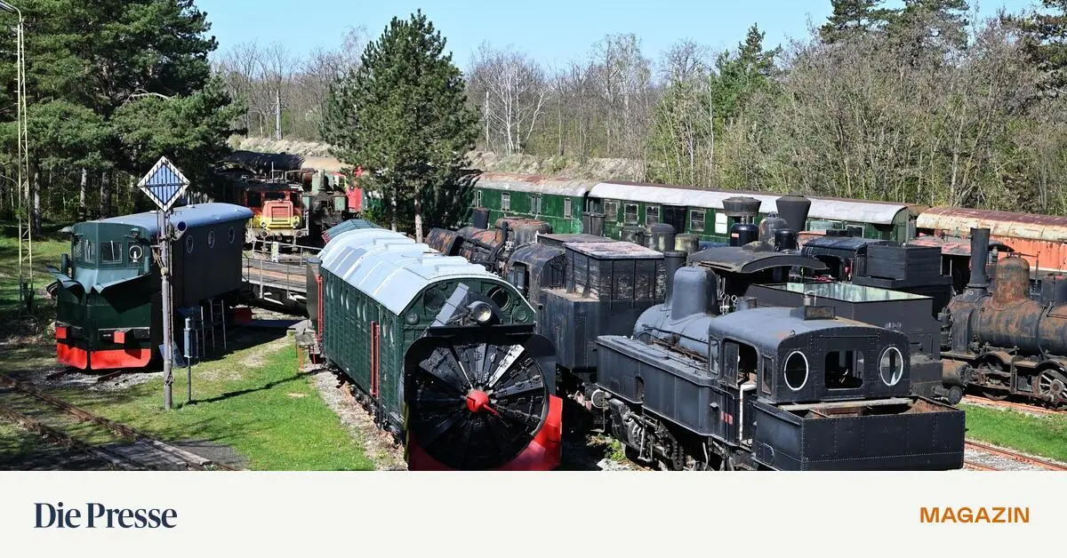 Alte-Z-ge-ohne-Dach-ber-dem-Kopf-premium-