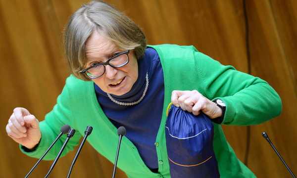 Grüne wollen weiter auf "Kontrolle und Transparenz" setzen