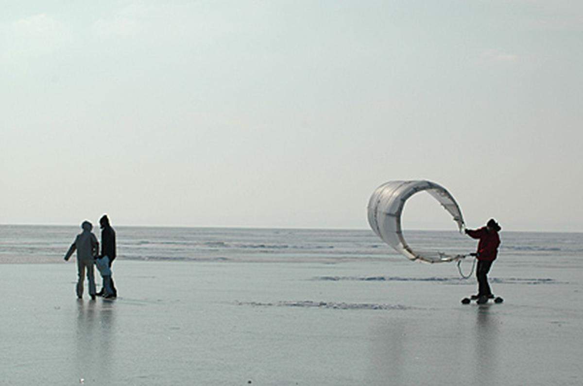 Die Austria Presse Agentur hatte am 1. April 2008 Sensationelles zu vermelden: Eine ungarische Ölfirma namens "Aprilis Köolaj" ("April Öl") hat Erdöl unter dem Neusiedler See entdeckt und plant den Bau einer Bohrinsel. Rund zehn Millionen Tonnen Öl seien zu erwarten. FPÖ-Umweltsprecher Norbert Hofer erkannte den Scherz nicht und warnte per Presse-Aussendung vor "erheblichen Risiken für die Natur".