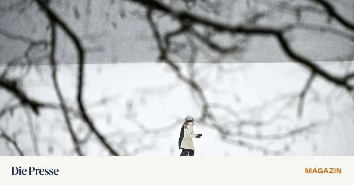 Dieser-Winter-ist-schrecklich-Reden-wir-uns-das-nur-ein-premium-