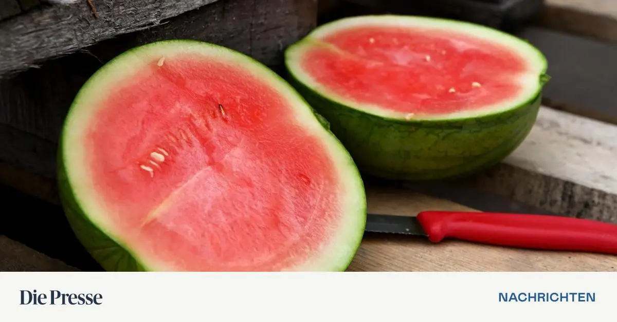 Lauwarm-leicht-und-gerne-scharf-Was-man-bei-Hitze-nicht-essen-sollte-premium-