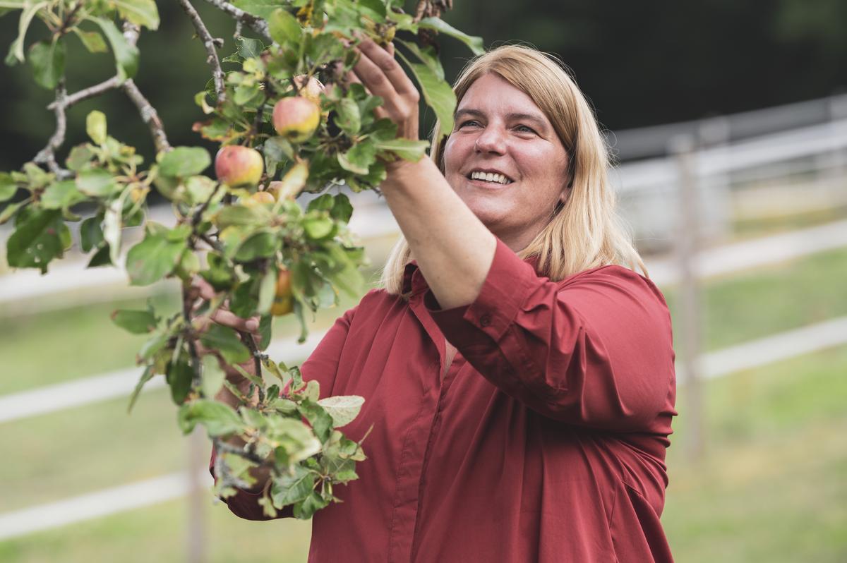 Gelish in the apple orchard. 