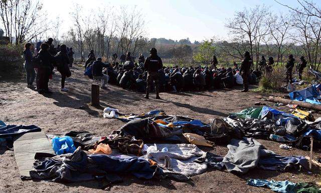 An der Grenze zu Ungarn. Serbische Polizisten setzen Migranten fest. 