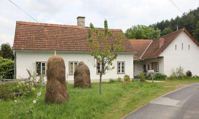 Blick vom Garten zum Haus.