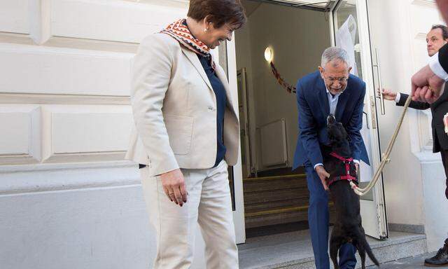 Streicheln war da noch kein Problem: Van der Bellen und seine Frau Doris Schmidauer mit „First Dog“ Juli bei der Wahl 2019.