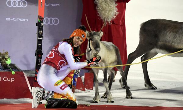Jeder Siegerin ihr Rentier: Finnische Sportkultur und ihre Früchte, Petra Vlhova hat bereits fünf dieser Vierbeiner.