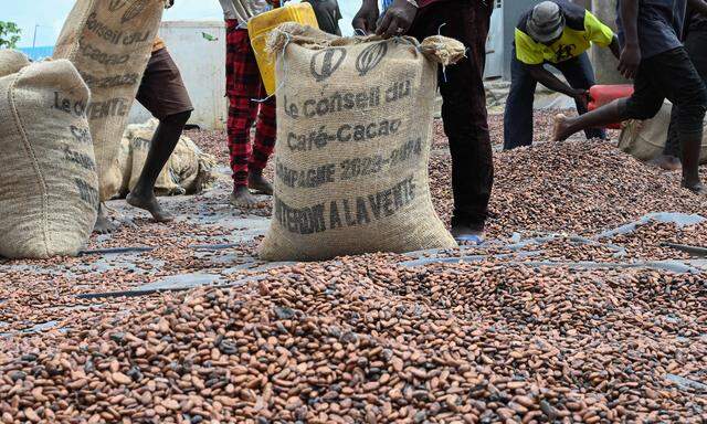 Der Weltmarktpreis ist zuletzt in lichte Höhen geschossen. Noch haben die Kakaobauern nichts davon.